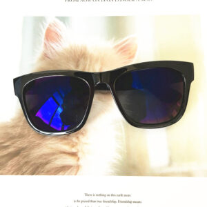 Bright Black Blue Mercury