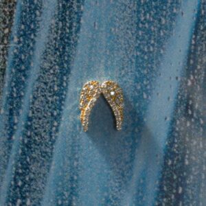 Wings (single accessory)