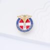 O1CN01eYCaVZ1g3RGXZf9iY_2217541994086-0-cib Wholesale RN First Aid Medical Star of Life Brooch Badge Accessories