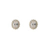 O1CN01erTTq11uSXQF0zIV7_2207953796036-0-cib Wholesale Micro inlaid diamond zircon pigeon egg earrings