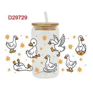 D29729