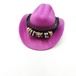 Purple cowboy hat anime peripheral one piece / L code
