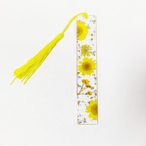 Yellow daisy