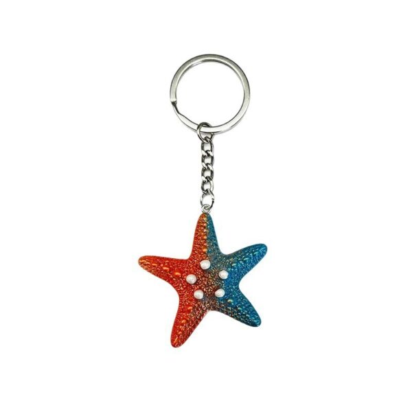 O1CN01hIZLPw1TDR1Ff0x7W_2219145822348-0-cib Wholesale Colorful Ocean Star Shell Metal Keychain