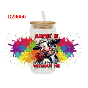D29656