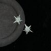 O1CN01i2AiLD1l5LAA6voWH_2216005864767-0-cib Wholesale Starry Sky Imagination Shining Starry Earrings