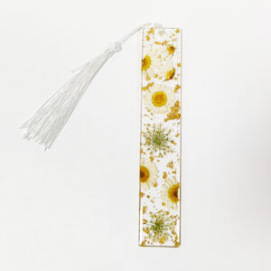 3 types of white daisies