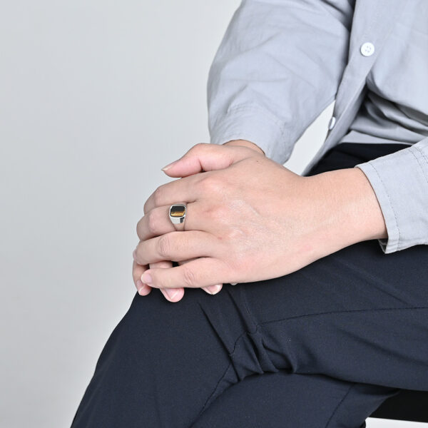 O1CN01jfeFu62860qyfFZjq_2816597882-0-cib Wholesale Smooth black stone tiger eye gemstone titanium steel ring