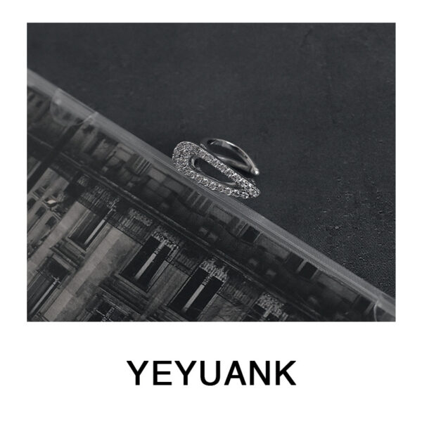 Wholesale Luxury Earbone Clip Exquisite Small Simple Earrings