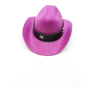 Purple cowboy hat five-pointed star style / L code