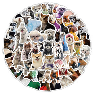 Fashion dog-60 photos