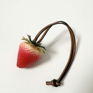 Gradient strawberry small