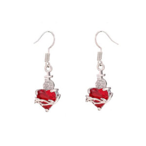 Silver ear hooks (red)