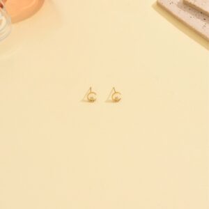 Gold moon star earrings
