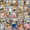 O1CN01owdQON1mdydj7IIVy_2208354554978-0-cib Wholesale Cute cartoon cat