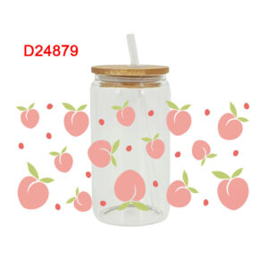 D24879