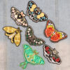 O1CN01qMwd8o20Q9DK8p196_2215389716843-0-cib Wholesale Butterfly Cloth Patch Insect Embroider Patch Clothing Luggage Accessories