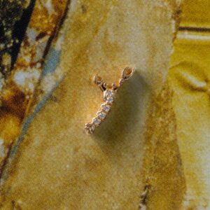 Golden crayfish (single accessory)