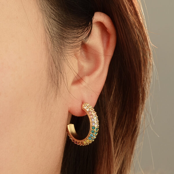 Wholesale European and American cross-border INS 18k gold-plated stainless steel earrings with zircon inlay, vintage and high-end titanium steel earrings