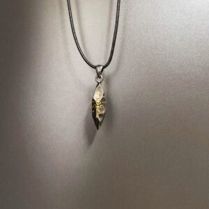 28 # Meteorite d976