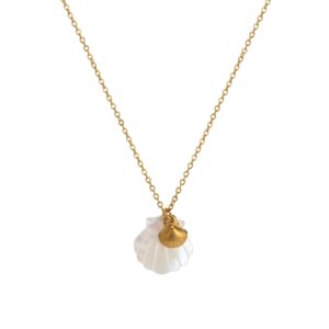 Shell Necklace (O-chain)