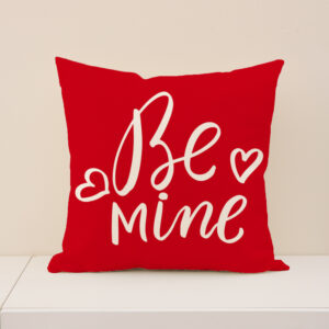 45x45cm (pillowcase only) / VP017-3