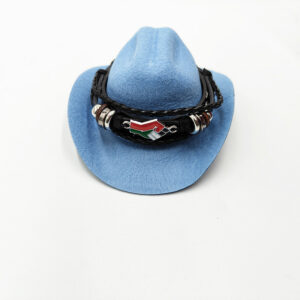 Blue cowboy hat palestine peace flag / L code