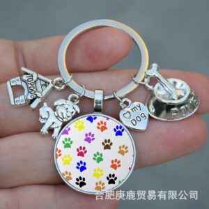 Colorful dog paws on white background