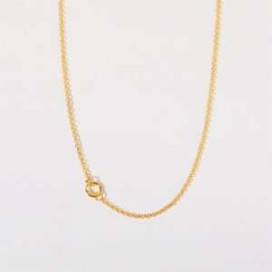 O-shaped chain + active mouth ring