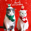 Wholesale pet knitted Christmas scarf cat dog Pet Clothes