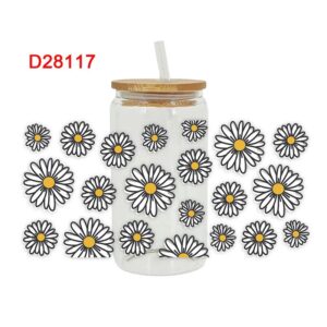 D28117