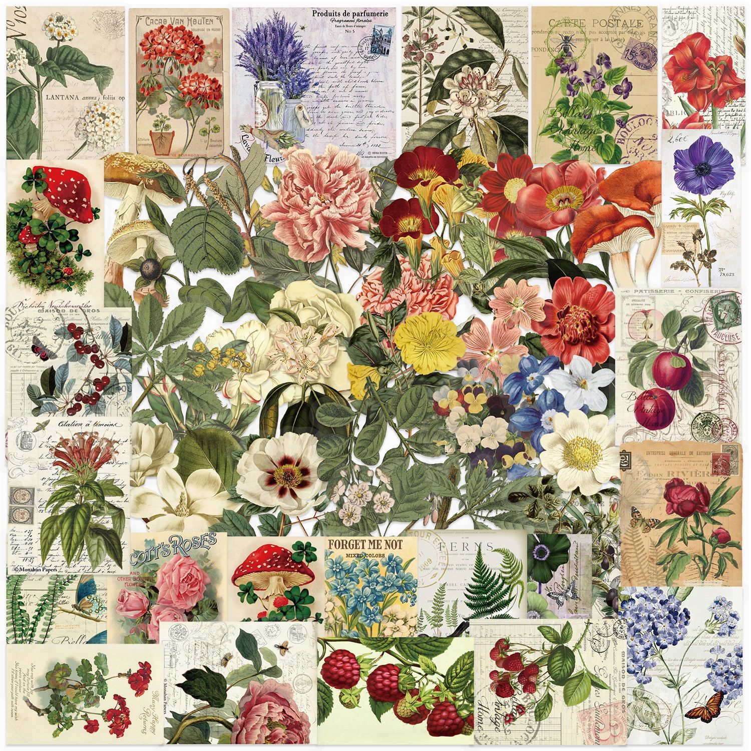 Wholesale Retro Plant Flower Series Graiti Waterproof Stickers