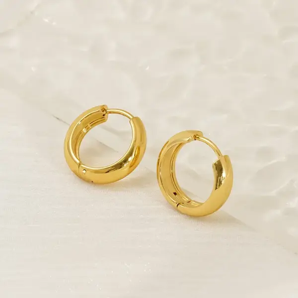 Wholesale 1 Pair Vacation Classic Style Round 304 Stainless Steel 18K Gold Plated Earrings