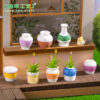 Wholesale Micro-Landscape Creative Colorful Textured Vase Potted Doll House DIY Decoration Accessories Mini Desktop Ornaments
