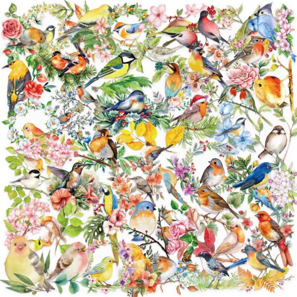 Wholesale 50 sheets transparent ins watercolor bird sticker bag waterproof transparent PET hand account material decorative guitar notebook batch