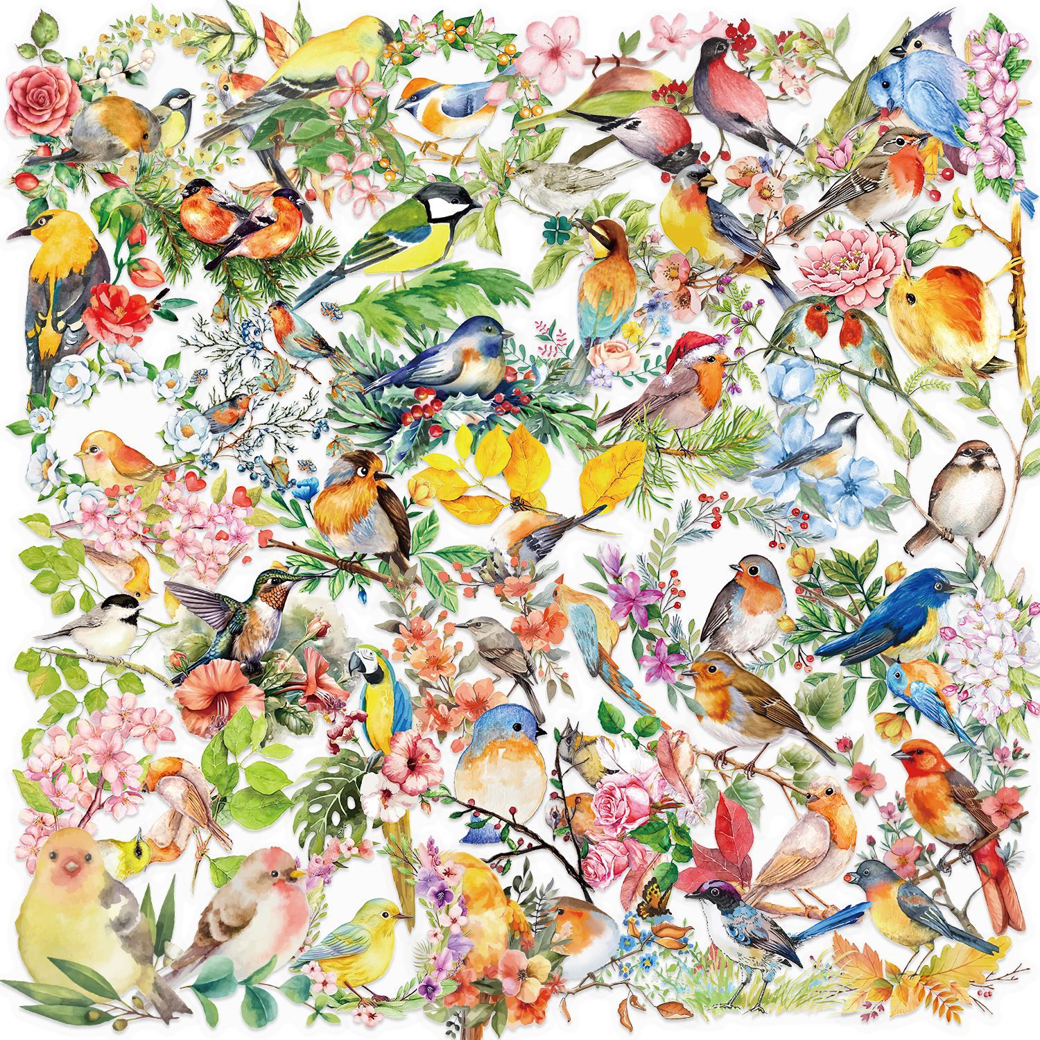 Wholesale 50 sheets transparent ins watercolor bird sticker bag waterproof transparent PET hand aount material decorative guitar notebook batch