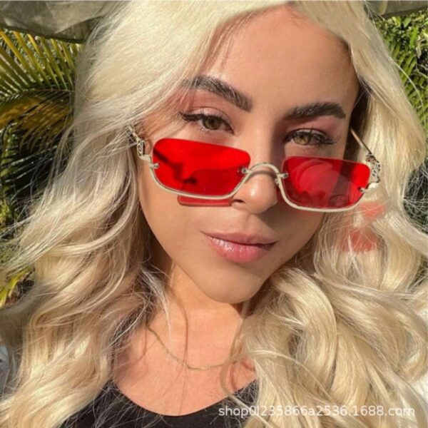 Wholesale Cross-Border Small Frame Square Sunglasses 2025 New Style Personalized Metal Marine Sunglasses Women's High-End Street Style Glasses