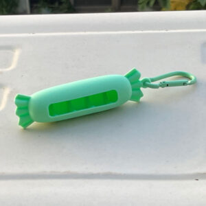Protective case + carabiner / Candy mint green