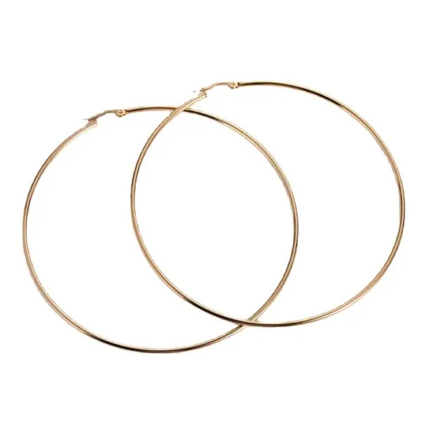 Wholesale 1 Pair Simple Style Circle Plating 304 Stainless Steel No Inlaid 18K Gold Plated Stainless Steel Earrings