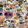 Wholesale 50PCS/PACK celebrity funny cat stickers