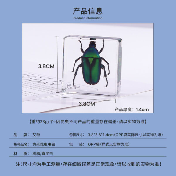 oly-06274fb4476b748054d288c3e78b07bd Wholesale Square resin insect and animal specimen amber craft ornament