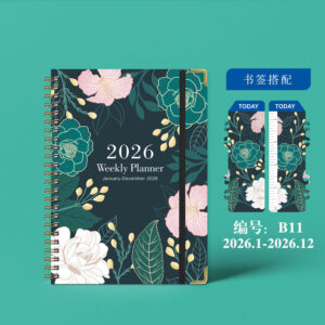 January 2026 - december 2026 / B11