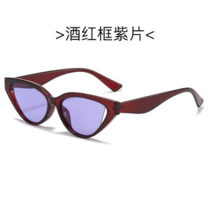 Figure (polarized) / Wine red framed purple slices