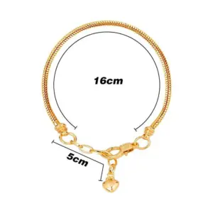 16 5 Basic Connection (Gold)