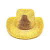 Wholesale Lace New Gold Silk Western Cowboy Hat Women's Stage Woolen Hat Foreign Trade Hat Men's and Women's Party Cross-Border Holiday Hat