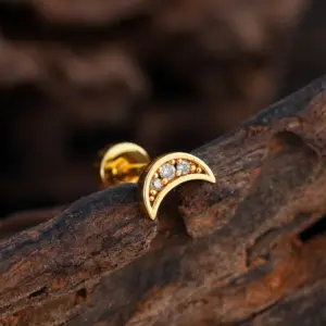 3386 Gold / Ear Studs