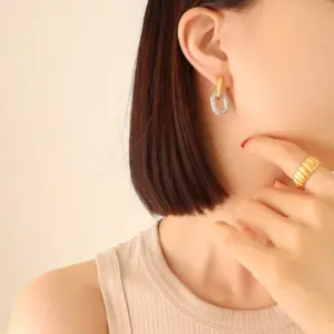 F405-Gold Steel Earrings
