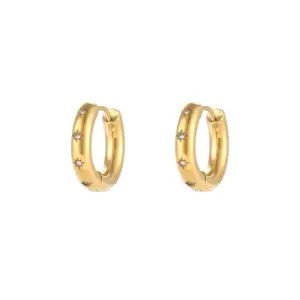 Shiny Zircon Earrings