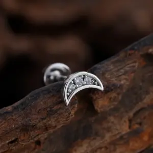 3386 Silver / Ear Studs