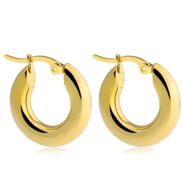 PVD Coated 18K Gold Real Gold Plated Solid Color 201 Stainless Steel 304 Stainless Steel Fashion Waterproof Non Tarnish Earrings